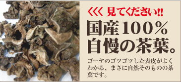 ゴーヤ茶 50gごーや【国産 健康茶 ゴーヤ茶】【3セットまでメール便】【ノンカフェイン】種入り