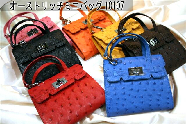 ڥա̵ۡեȥåߥ˥Хå 10107