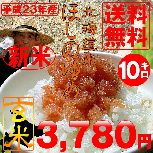 23年度産【送料無料】北海道産ほしのゆめ玄米10kg