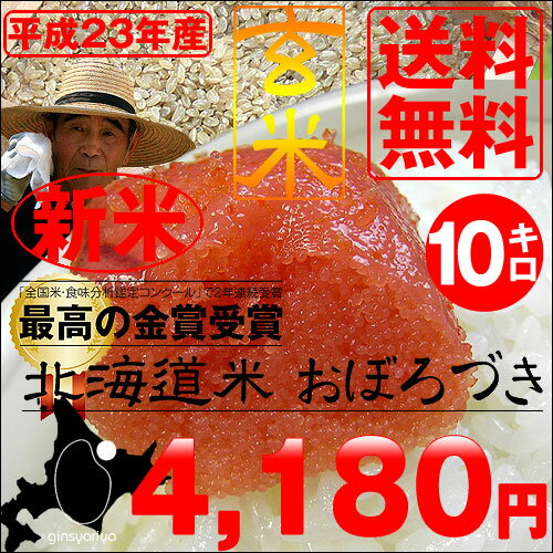 23年度産【送料無料】北海道産おぼろづき玄米10kg