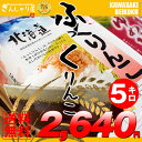 28年産 北海道産 ふっくりんこ 5kg 【送料無料】【北海道米 送料込み 米 お米 真空パック選択可】