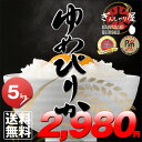 新米 30年産 北海道産 ゆめぴりか 5kg 【送料無料】【...