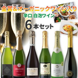 【4月おまけ企画】【6本セット送料無料】<strong>金賞</strong>&オーガニックワイン入り 辛口白スパークリングワイン6本セット※沖縄県は送料無料対象外＜ワインセット＞ 飲み比べセット スパークリング セット 辛口スパークリング [T.3554.0.SE]