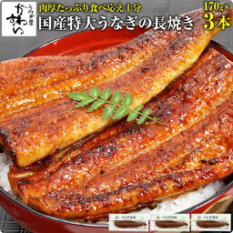 [自慢の特大サイズ]国産特大うなぎ蒲焼き 170g×3本[送料無料]ウナギ 鰻 蒲焼き 蒲焼 国内産 夏の土用丑 土用の丑の日 <strong>冷凍</strong>食品 <strong>ひつまぶし</strong> ちらし寿司 うなぎ 国産 3尾