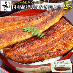 <strong>国産</strong>超特大<strong>うなぎ</strong>蒲焼き 200g×2本<strong>うなぎ</strong> ウナギ 鰻 蒲焼き 国内産 <strong>国産</strong><strong>うなぎ</strong> 土用丑の日 冷凍食品 ひつまぶし ちらし寿司 誕生日 お祝い 快気祝い お返し 退職祝い 定年 退職 プレゼント ギフト グルメ 食べ物 <strong>2尾</strong>[MP]