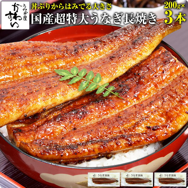 <strong>国産</strong>超特大<strong>うなぎ</strong>蒲焼き 200g×3本[山椒別売]ウナギ 鰻 蒲焼き 蒲焼 国内産 土用丑 土用の丑の日 冷凍食品 ひつまぶし ちらし寿司 送料無料 <strong>うなぎ</strong> <strong>国産</strong> <strong>3尾</strong>[MP]