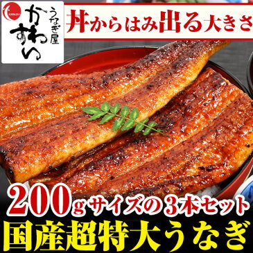 ＼贈り物にも大人気／超特大うなぎ蒲焼き 200g×3本セット【ウナギ 鰻 国産 贈り物 誕生日 お祝い 内祝い ギフト 高級 魚介】