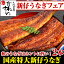 \10月24日は秋の土用丑/国産特大新仔うなぎ 170g×2本【期間限定】【ウナギ 鰻 蒲焼き 旬の味 国内産 贈り物 高級 魚介】 7,890円