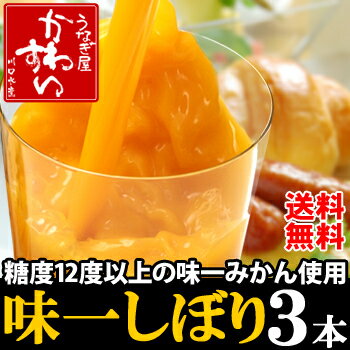 【送料無料】★美味しい自然の惠み！天然 果汁 100% みかんジュース 200ml×3本★【味一しぼり みかん 有田みかん 味一みかん オレンジジュース 100%ピュアジュース ドリンク お試しセット おためし 贈り物 ギフト お取り寄せ】【特別ご招待】和歌山の高級ブランド「味一みかん」の旨味をそのまま凝縮！【送料無料】【有田みかん 味一しぼり みかんジュース オレンジジュース 100% お試しセット】