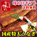 母の日ギフト 国産特大うなぎのギフトセット 170g×2本【...