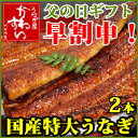 父の日ギフト 国産特大うなぎのギフトセット 170g×2本【送料無料 早期割引】【ウナギ 鰻 蒲焼き 黄色のバラ メッセージカード 特典付き】