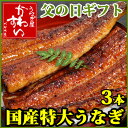 父の日ギフト 国産特大うなぎのギフトセット 170g×3本【...