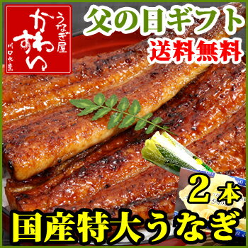 【父の日 2013】国産特大うなぎ蒲焼き2本セット【送料無料】【ギフト 贈り物 プレゼント ウナギ 鰻】【smtb-k】【kb】【楽ギフ_包装】【楽ギフ_のし】【楽ギフ_メッセ】【楽ギフ_メッセ入力