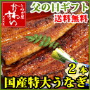 まだ間に合う！父の日ギフト2012国産特大うなぎ蒲焼き2本セットまだ間に合う！いつも頑張ってるお父さんへ特別な贈り物