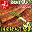 国産特大うなぎ蒲焼き2本セットいつも頑張ってるお父さんへ