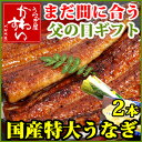 国産特大うなぎ蒲焼き2本セットいつも頑張ってるお父さんへ