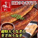 【ギフトセット】超特大うなぎ蒲焼き1本・きざみうなぎ2食【送料無料】【ウナギ 鰻 蒲焼き 贈り物 敬老の日 お誕生日】