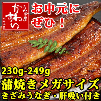 国産メガサイズうなぎ蒲焼き1本ときざみのセット(肝吸い付き)贅沢な国産うなぎギフトセット