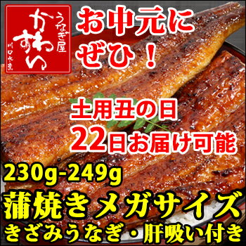 国産メガサイズうなぎ蒲焼き1本ときざみのセット(肝吸い付き)贅沢な国産うなぎギフトセット