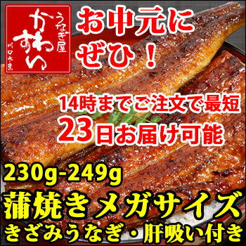 国産メガサイズうなぎ蒲焼き230g1本ときざみのセット(肝吸い付き)贅沢な国産うなぎギフトセット