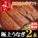 国産うなぎ蒲焼きギフト2本セット丹精込めて焼き上げました。贈り物 プレゼント ウナギ 鰻 蒲焼き】