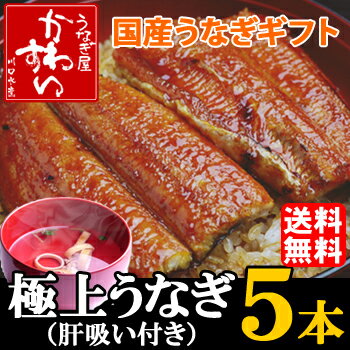 【ギフトセット】国産うなぎ蒲焼き大サイズ 150g-169g 5本セット「肝吸い付き」【送料無料 贈...:kawasui:10000119