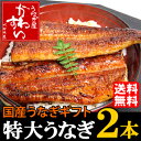 【お中元・ギフト・贈り物に】国産特大うなぎ蒲焼きギフト2本セット【送料無料】【贈り物 プレゼント ウナギ 鰻】【smtb-k】【kb】【楽ギフ_包装】【楽ギフ_のし】【楽ギフ_メッセ】【楽ギフ_メッセ入力】【お中元・贈り物】丹精込めて焼き上げました。【送料無料】贈り物 プレゼント ウナギ 鰻 蒲焼き】