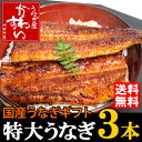 【お中元・ギフト・贈り物に】国産特大うなぎ蒲焼きギフト3本セット【送料無料】【贈り物 プレゼント ウナギ 鰻】