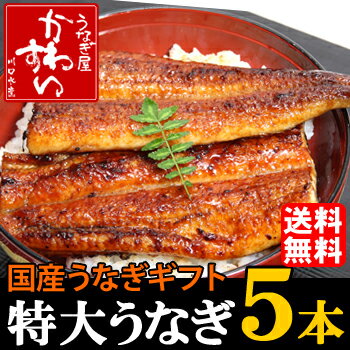 【お中元・ギフト・贈り物に】国産特大うなぎ蒲焼きギフト5本セット【送料無料】【贈り物 プレゼント ウナギ 鰻】