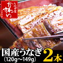 専門店サイズの国産うなぎ蒲焼き120g×2本タレ、山椒付き