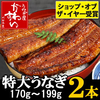 特大国産うなぎの蒲焼き170g×2本【送料無料】【ウナギ 鰻 蒲焼き 国内産 ギフト 贈り物 】...:kawasui:10001109