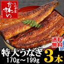 脂がのった特大国産うなぎ！　170g〜199g×3本【送料無...