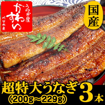 超特大うなぎ蒲焼き 200g-229g×3本セット【ウナギ 鰻 国産 贈り物】...:kawasui:10000913