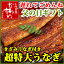 「国産超特大うなぎ蒲焼き」1本ときざみのセット（肝吸い付き）贅沢な国産うなぎギフトセット