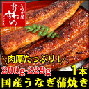 メガサイズの国産うなぎ蒲焼き 200g×1本肉厚タップリで食べ応え満点！