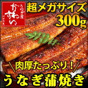 超メガサイズの国産うなぎ蒲焼き 300g×1本【ウナギ 鰻 蒲焼き 国内産】【RCP】