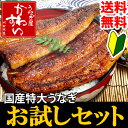 特大国産うなぎのお試しセット【送料無料 初回限定】【ウナギ ...