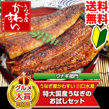 ★2年連続グルメ大賞受賞！送料無料！特大国産うなぎのお試しセット7月27日土用丑の日楽天で一番売れた国産うなぎ 蒲焼き セット！