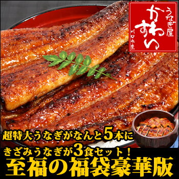 超お買い得！国産うなぎ蒲焼き至福の福袋セット豪華版超特大サイズがどどーん！と入った新春特別セット！