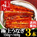 【送料無料】国産うなぎ蒲焼き150g?169g×3本 【ウナギ 鰻 蒲焼 国内産 土用丑 贈り物 お取り寄せ】