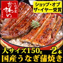 国産うなぎ蒲焼き150g×2本 【ウナギ 鰻 蒲焼 国内産 ...