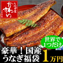 の川水！ダブル世界に1つだけ！自分だけの福袋選べる国産うなぎ合計15000円分が10000円