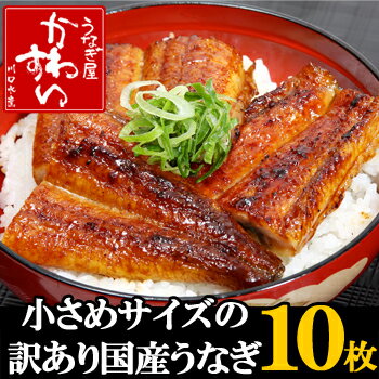 テレビ雑誌で大人気！国産うなぎ蒲焼きカット10枚セット規格外の小さな国産うなぎ蒲焼きのお得な10枚セット！