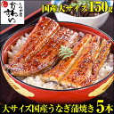 \期間限定 お買い得セット いまならエントリーでP10倍/【食べ応えのある大サイズ】