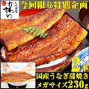 \今回限りの特別企画 いまならエントリーでP10倍/【メガサイズ】国産うなぎ蒲焼き2