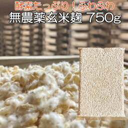 <strong>無農薬</strong> <strong>玄米麹</strong> 乾燥 750g(生麹換算<strong>1k</strong>g以上) 九州産 麹 <strong>無農薬</strong> 麹菌 発酵器 で 簡単 玄米 甘酒 塩麹 麹漬けの素 こうじ 酵素 糀