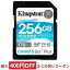 256GB SDXCカード 標準サイズSD Kingston キングストン Canvas Go Plus UHS-I U3 V30 4K R:170MB/s W:90MB/s 海外リテール SDG3/256GB ◆メ
ITEMPRICE