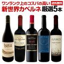【送料無料】超お買い得!カベルネ好き必見!ワンランク上の新世界カベルネ・ソーヴィニョン厳選5本!