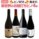 【送料無料】ピノ好き集まれ!当店独自輸入を含む格上新世界ピノ・ノワールを厳選4本!