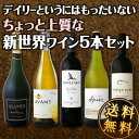 【送料無料】デイリーというにはもったいない、ちょっと上質な新世界5本セット!|京橋ワイン ワインセット 御歳暮 お歳暮 プレゼント クリスマス クリスマスプレゼント クリスマスギフト クリスマスパーティー お年賀 還暦 おせいぼ